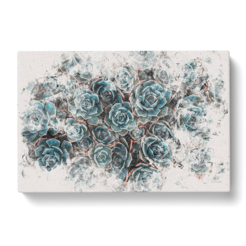 Succulent Plants - Wrapped Canvas Print, 40cm H x 60cm W x 4cm D