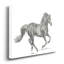 Portrait de cheval sauvage II-impression de dessin sur toile-2047644071
