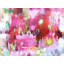 Roses And Mint Print by Elizabeth Chapman-65850967-65825790