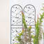 4 Pack Metal Garden Trellis 71" X 19.7" Rustproof Trellis For Climbing Plants Outdoor Flower Support Bird Deco Black