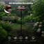 Steel Birdbath