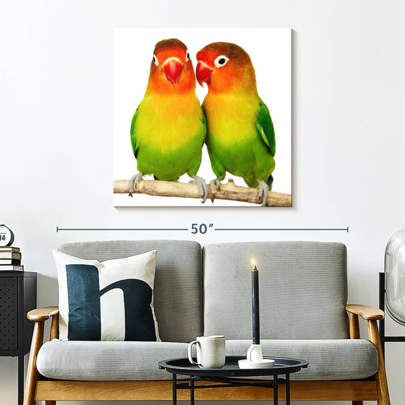 Crowle Lovebirds, H 30 po x l 30 po