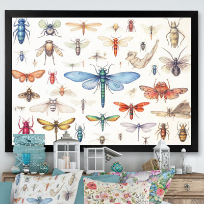 " Tiny Insect Wonders I "