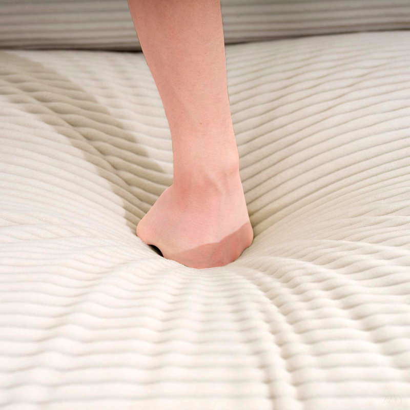 Ensemble de canapé chaleureux et confortable avec coussins et coussins moelleux, tissu en velours côtelé