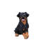 Statue d'extérieur Puppy Dog