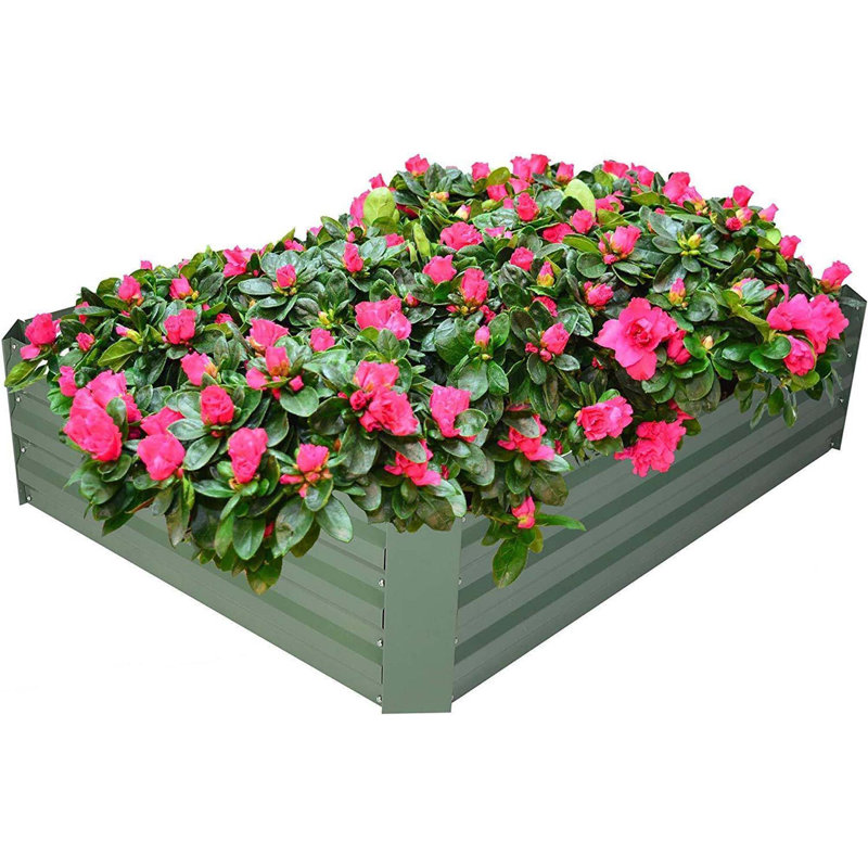 Boîte à fleurs polyvalente en métal galvanisé pour fleurs et légumes en plein essor