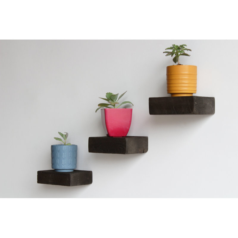 Salomon 3 Piece Solid Wood Floating Shelf, Coffee Bean