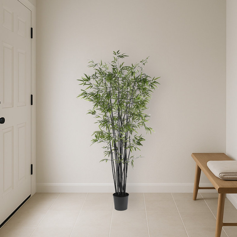 Bamboo Tree with Leaves