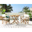 Thurley Folding Director Chair