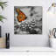 Papillon Brampt-109368474
