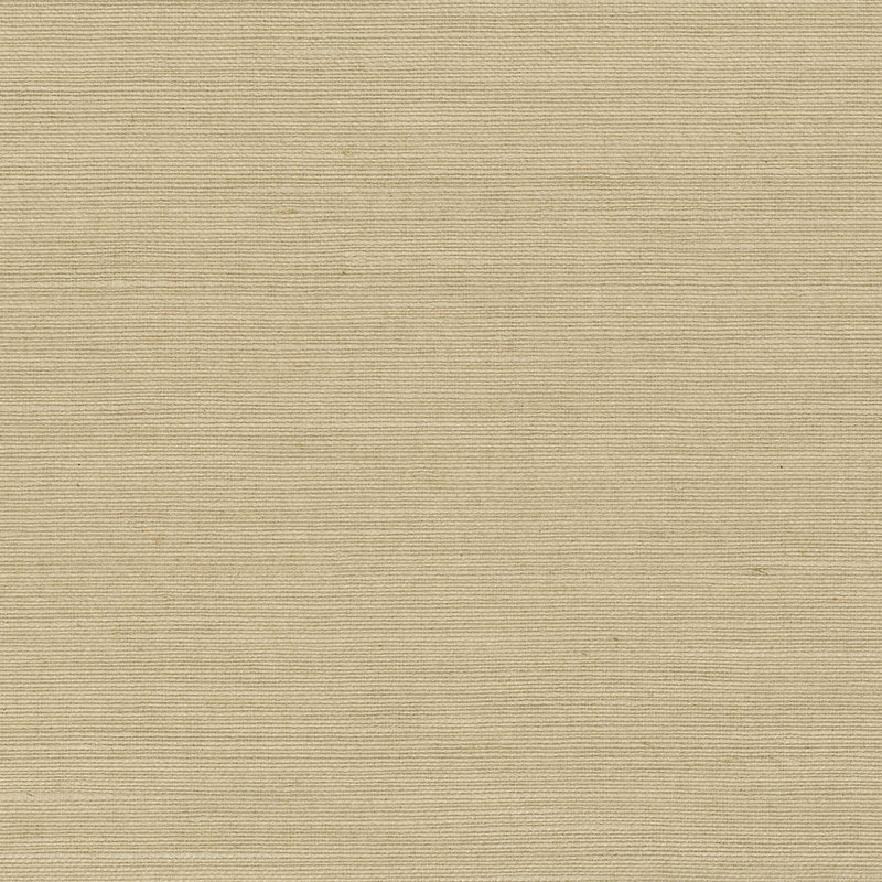 Rouleau de papier peint à peindre L 24 pi x l 36 po Marr, Brun clair