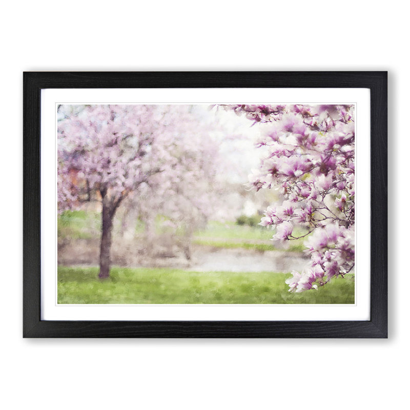 Magnolia Blossom Trees - Picture Frame Painting, Black Framed, 27cm H x 36cm W x 2cm D