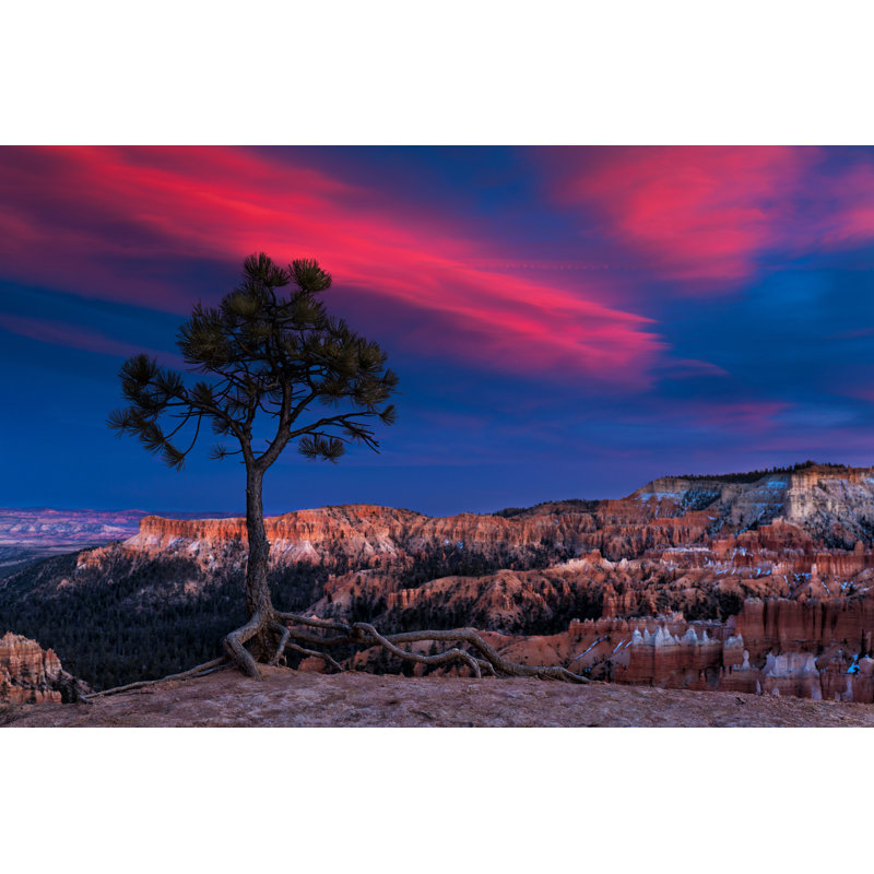 Parc national Bryce Canyon par Nycshooter, H 12 po x l 18 po