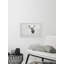 Elk Stare - Single Picture Frame Print-37884612