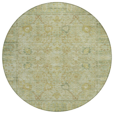 Machine Washable Indoor/Outdoor Segin ACN1106 Sage Rug