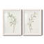 Spindle Sprig III - ensemble de 2 reproductions de cadres photo-751786828-751786825