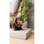Trevin Orthopedic Codura Pet Bed-1498059970-1498059992-1498059971