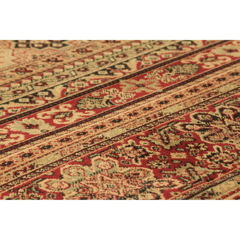 Boulder Brook Oriental Area Rug, Rectangle 80 x 140cm
