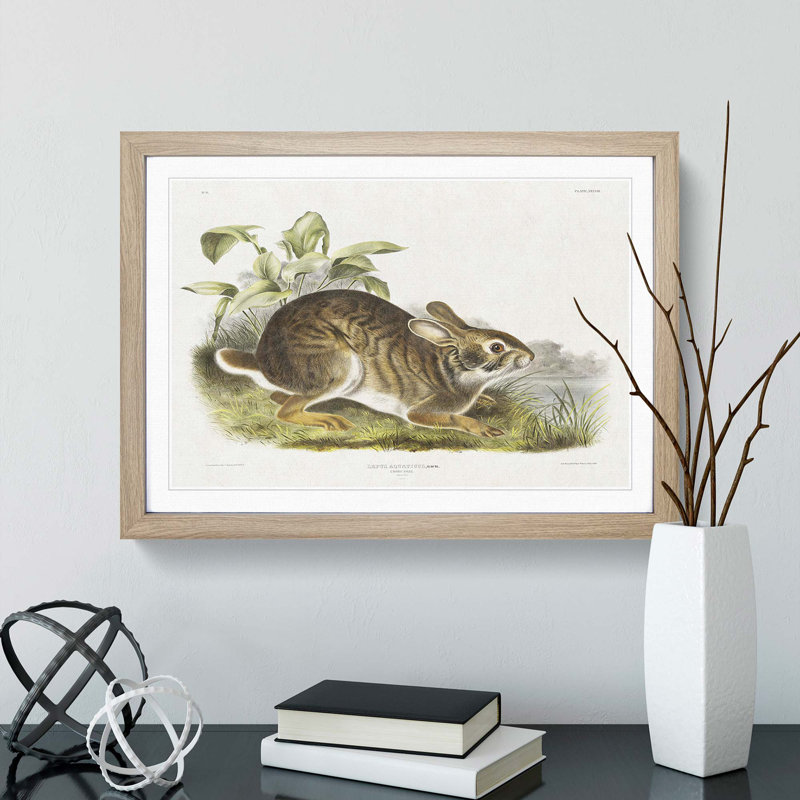 Swamp Hare by J.W. Audubon - Picture Frame Art Prints, 27cm H x 36cm W x 2cm D, Oak Framed