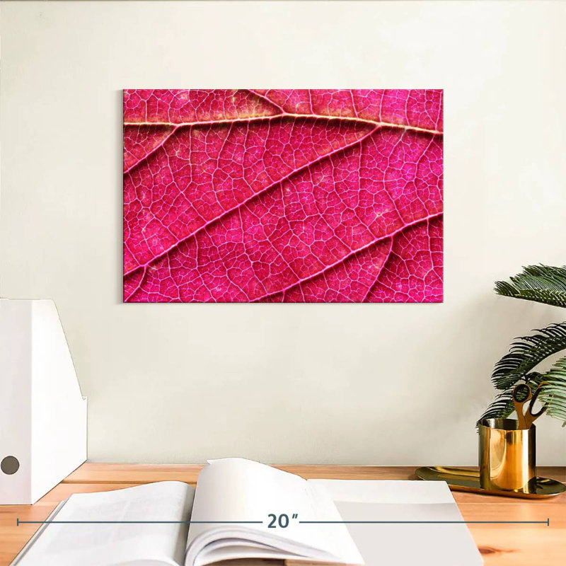 Pink Leaf Vein, 8" H x 12" W