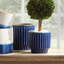 Somerhill Handmade Clay Pot Planter - Set of 2