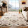 Mignon Moroccan Area Rug