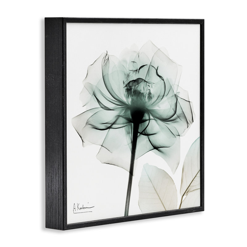 Giclée transparente encadrée, design par Albert Koetsier, H 17 po x l 17 po, Giclée encadrée noir minuit