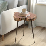 Noelton Style 22'' tall Solid Wood End Table