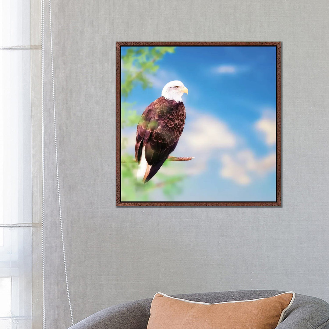 Amerikanischer Weißkopfseeadler auf einem Baum von Susan Richey - Galerie-verpackte Leinwand Giclée