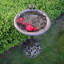 Bain d'oiseaux Wendling-1553776888