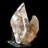Selenite - Naica Mine, Mexico