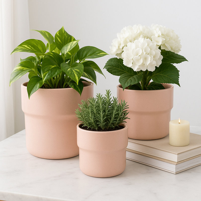 Pot de fleurs de style champignon pour la décoration intérieure et extérieure - Pots de fleurs pour la décoration de salon ou de patio - ensemble de 3, 9 po, 7 po 6 po, rose