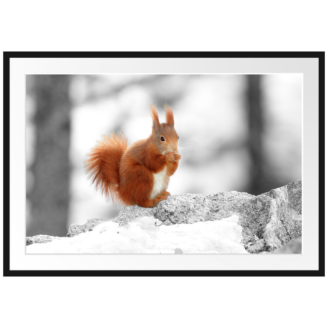 Gerahmtes Poster Eichhörnchen in Verschneitem Wald