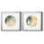 Silver Framed Paper is unavailable