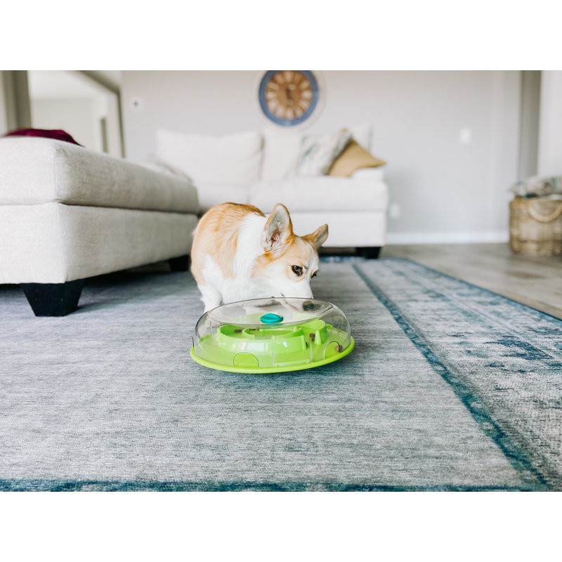 Interactive Green and Clear Plastic Treat Dispenser Bowl