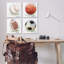 Ensemble de 4 balles de sport pastel doux, design par Matthew Piotrowicz