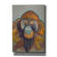  «Orangutan» par Bebe Keith, art mural sur toile, 18 po x 26 po