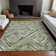 Premium Machine Washable Prisco Aloe Rug
