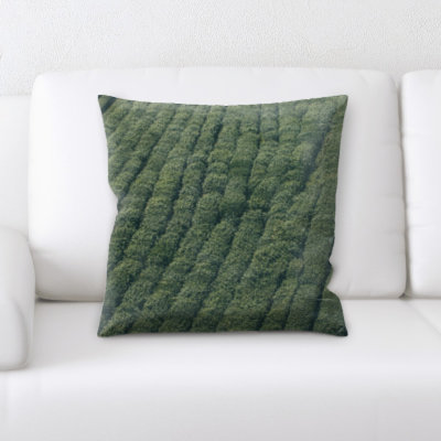 Flat Aerial Shots Throw Pillow