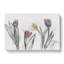 Colourful Tulip Flowers in Abstract - Wrapped Canvas-55314364