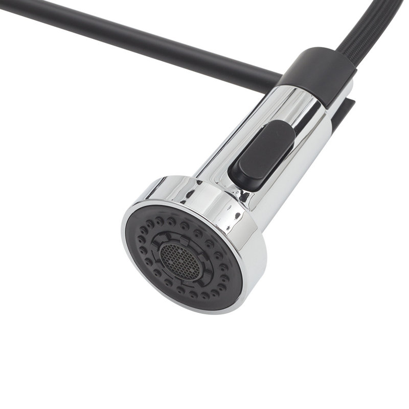 Belfry Kitchen Ailsa Kitchen Faucet, Matte Black/Silver