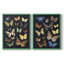Collectionner Flutter III - reproduction encadrée de qualité supérieure - prête à être accrochée - aucun clou requis - aucun clou requis-727188637-727188704