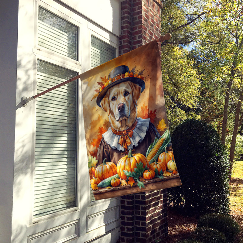 Drapeau de l'Action de grâce, Labrador Retriever jaune
