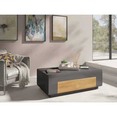 Febin Block Coffee Table with Storage