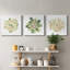 «Succulent Cameo», ensemble de 3 toiles tendues-506474725