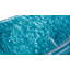 Ariel Shells-62160716