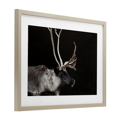 «Dark Reindeer at Night», reproduction sous verre encadrée, conception par Amy Carroll