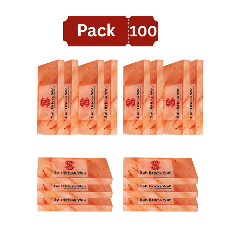Briques de sel - tuiles de sel naturelles 8 po x 4 po x 1 po pour murs de sel, spa et sauna, paquet de 100