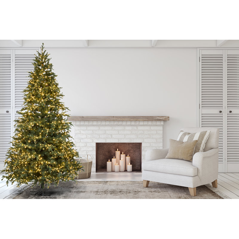 Carolina Fraser Artificial Christmas Tree Clear Lights, 12'