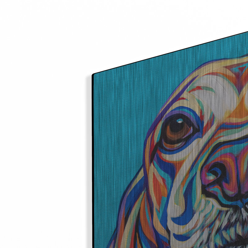 «Kaleidoscope Dog 2» par Carolee Vitaletti, H 24 po x l 24 po